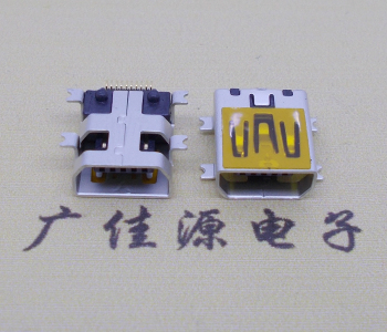南山迷你USB插座,MiNiUSB母座,10P/全贴片带固定柱母头